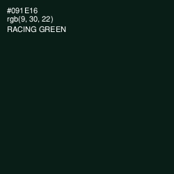 #091E16 - Racing Green Color Image